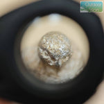 โหลดรูปภาพลงในเครื่องมือใช้ดูของ Gallery กล้องส่องพระ Nikon XP 10x