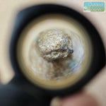 โหลดรูปภาพลงในเครื่องมือใช้ดูของ Gallery กล้องส่องพระ Belomo 20x
